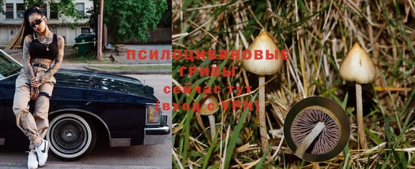 экстази Пестово