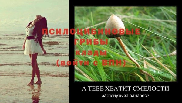 альфа пвп Осинники