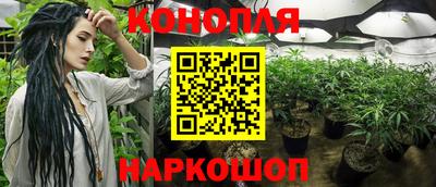 шишки Абакан