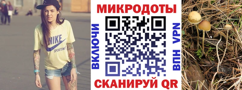 магазин продажи наркотиков  Алейск  Галлюциногенные грибы ЛСД 